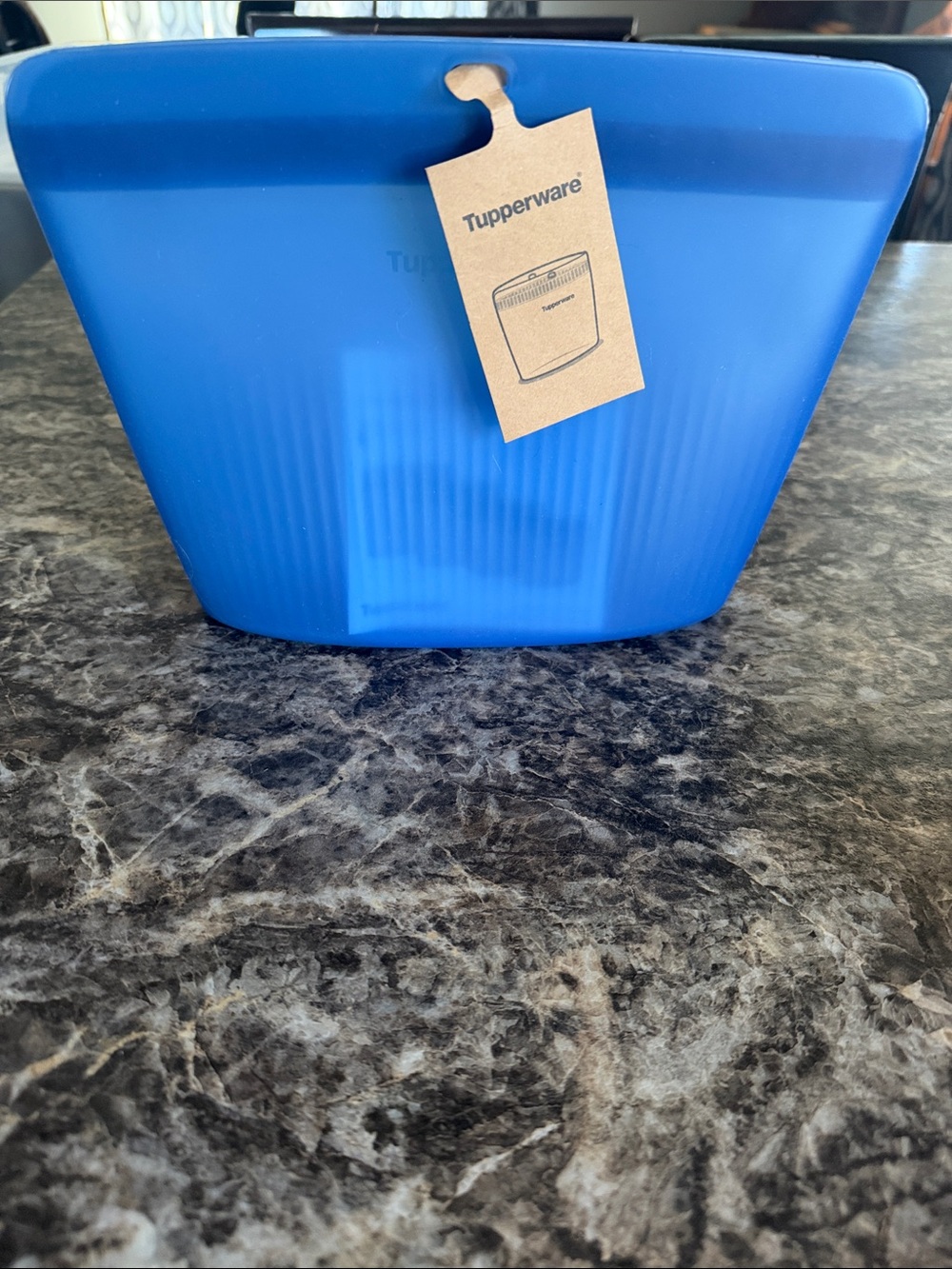 Tupperware Blue Storage Bin